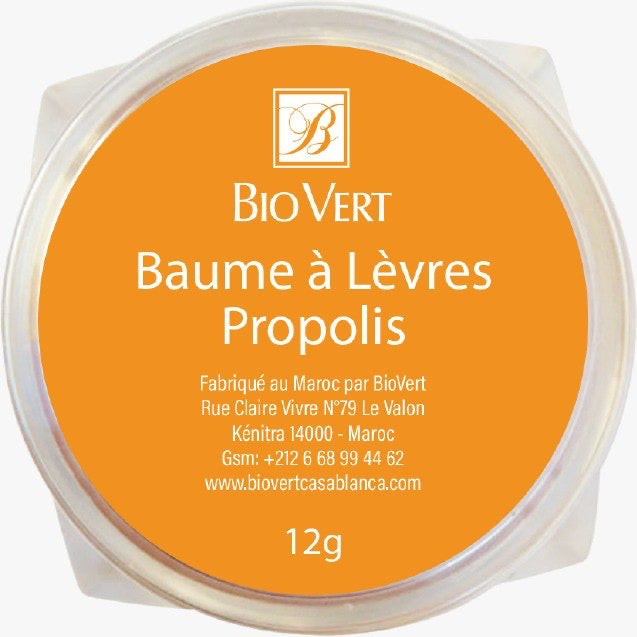 Baume à Lèvres Propolis
